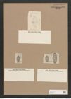 Navicula elliptica v. exarata Grun. (de-Toni-Nr.: Genus 1, Species 298) Zeichnungen Sammlung Grunow Nr. 686 (NHMW-BOT-W0367061)